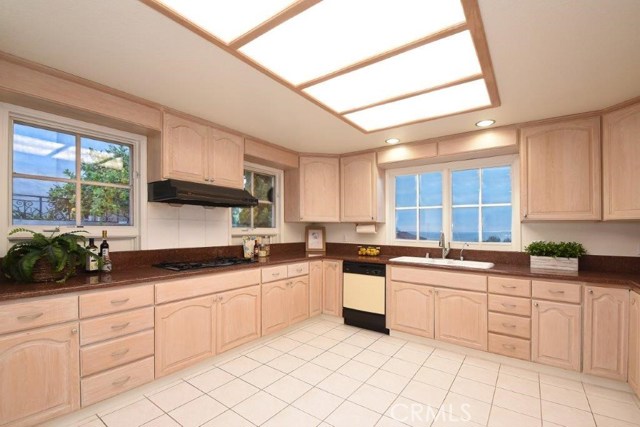 Spacious Gourmet Kitchen