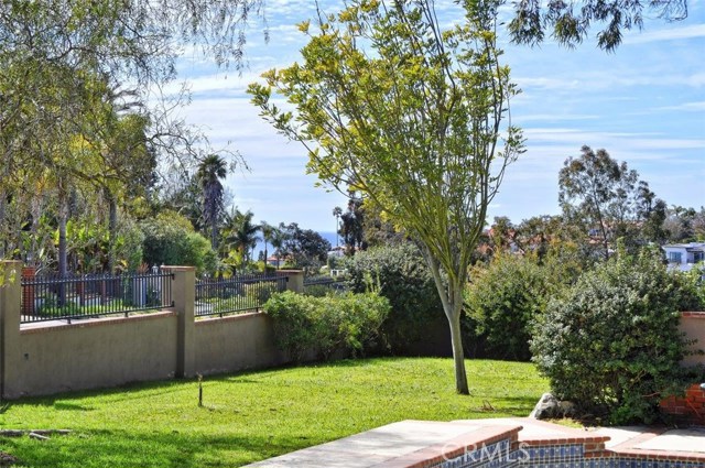 Grassy Backyard
