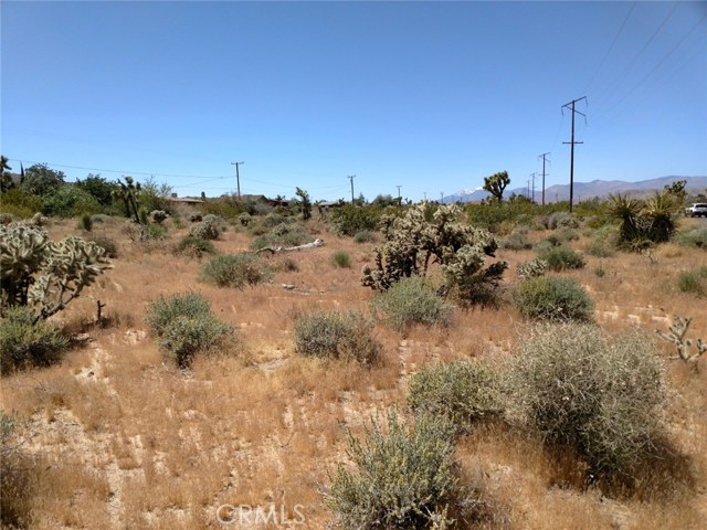 Alta Loma