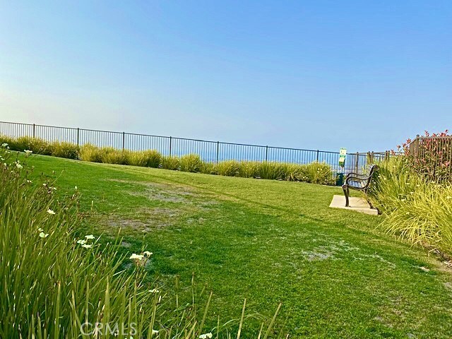 Dog park