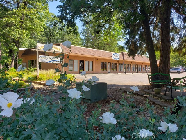 Lakeridge, 95954, ,Commercial,For Sale,Lakeridge,SN20159128