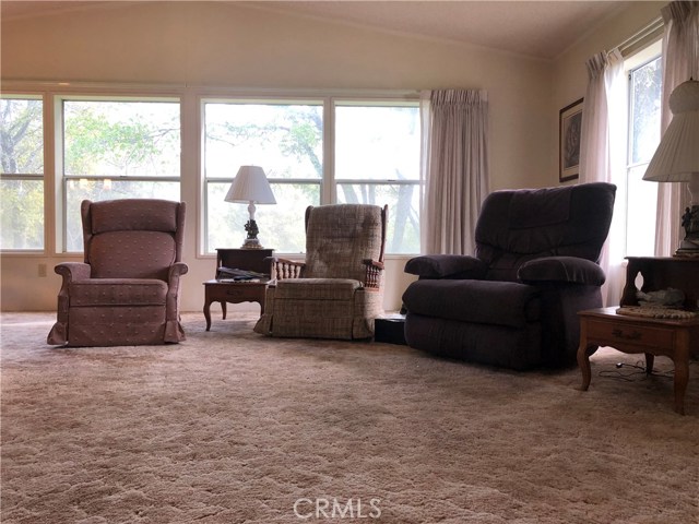 Living Room with tons of  windows and gorgeous views out each one.  Nice drapes and carpet.