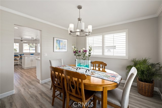 Formal dining with lots of natural light