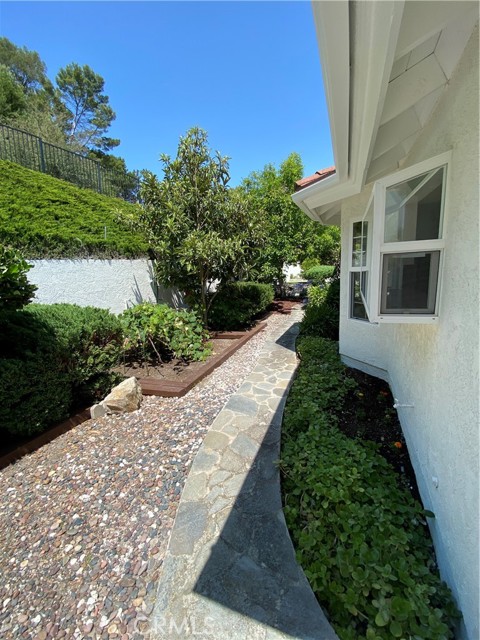 Back yard