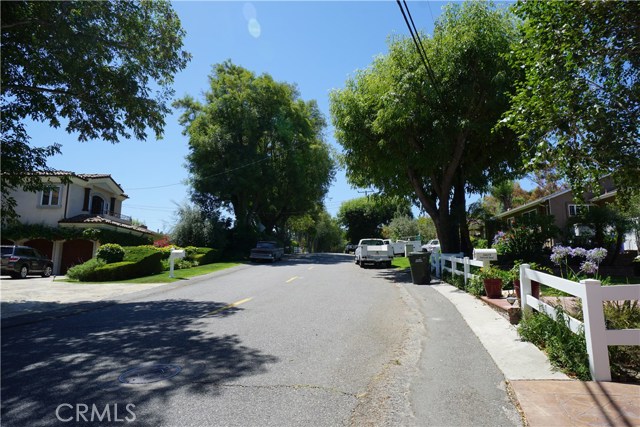 Tree-Lined Neighborhood Street