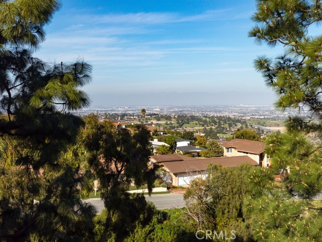 6445 Via De Anzar, Rancho Palos Verdes, California 90275, 5 Bedrooms Bedrooms, ,3 BathroomsBathrooms,Residential,Sold,Via De Anzar,PV20038103