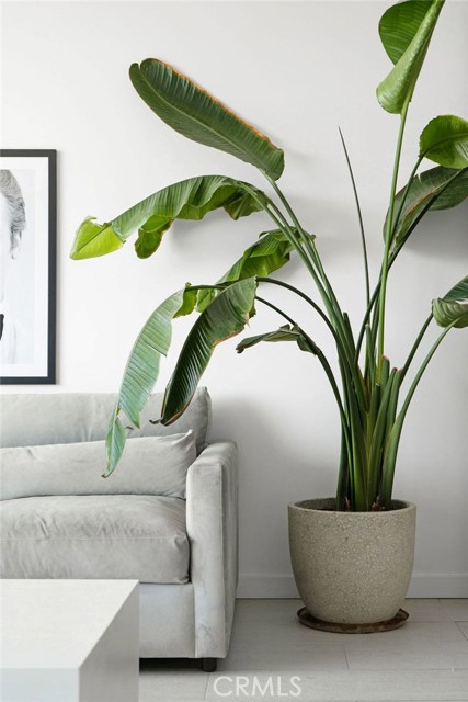 1 Bed Home for Sale in West Hollywood, California