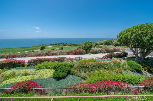 The View out of your Covered Veranda.