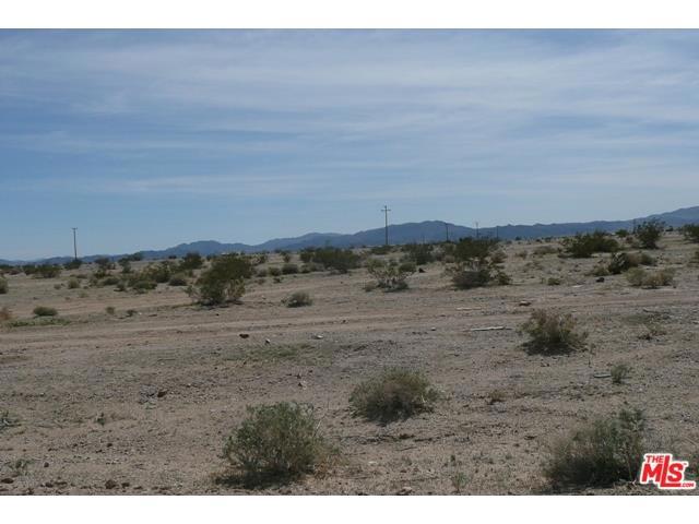 Wilson, 29 Palms, CA, 92277 Wilson