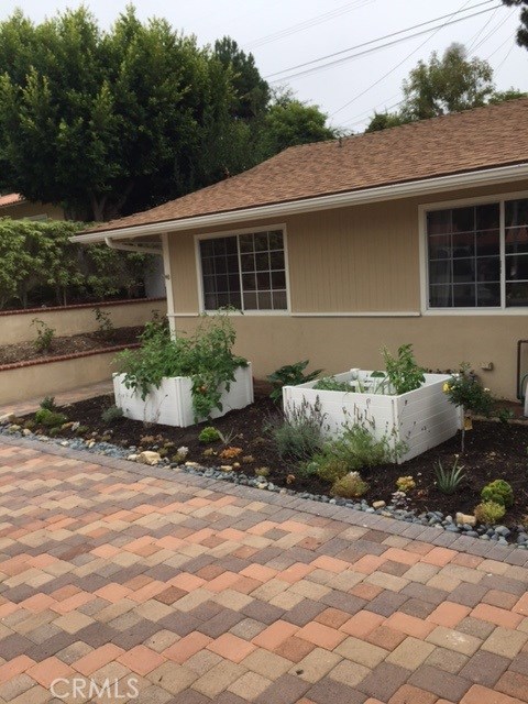 Garden boxes with veggies and herbs