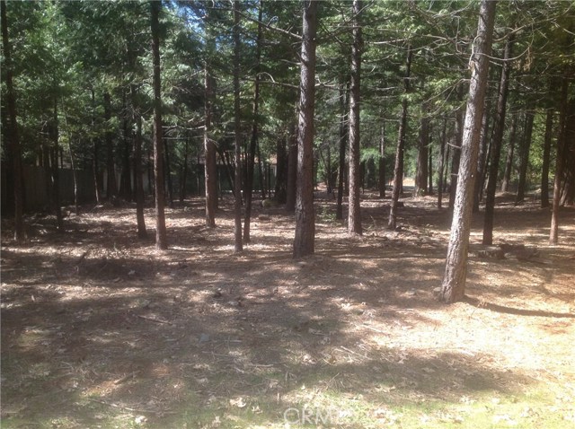 Northwood Drive