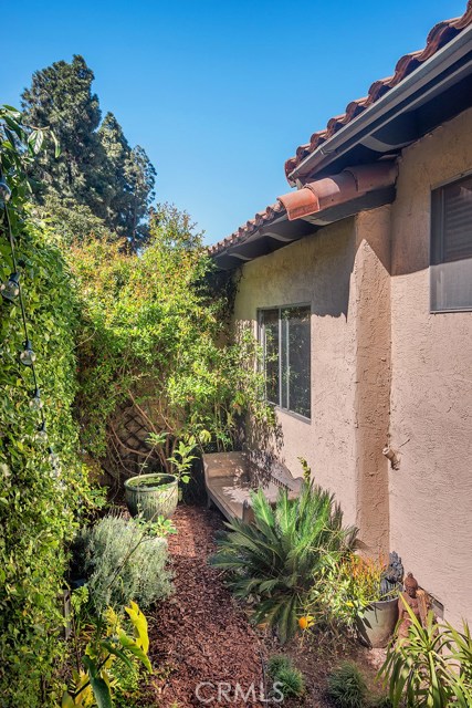 back garden area back garden area