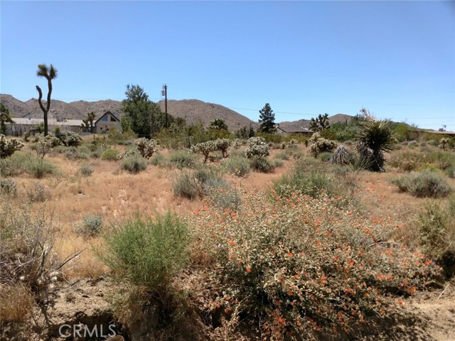 Alta Loma