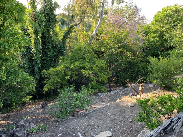 More backyard, leads down to seasonal creek.