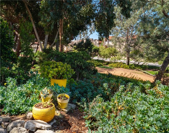 View from the front door and path to the greenbelt