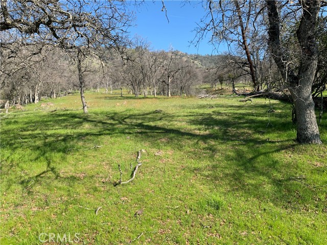 Detail Gallery Image 1 of 1 For 3096 Highway 140, Catheys Valley,  CA 95306 - – Beds | – Baths