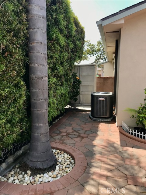 Rear Yard with Queen Palm