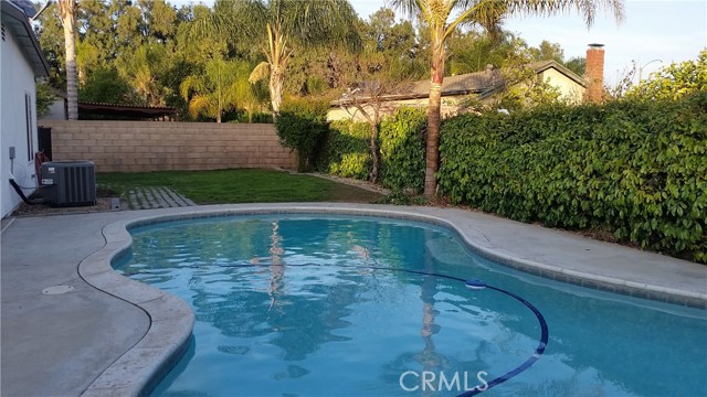 Pool and Back Yard