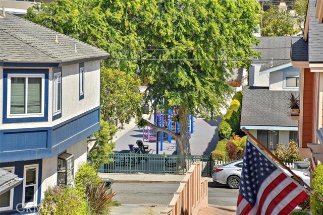 View towards local park and trees from living room.