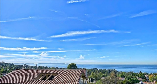 Ocean & Catalina Island View