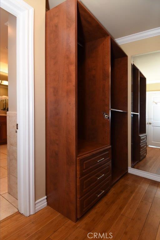 Walk-in Closet in Master Bedroom