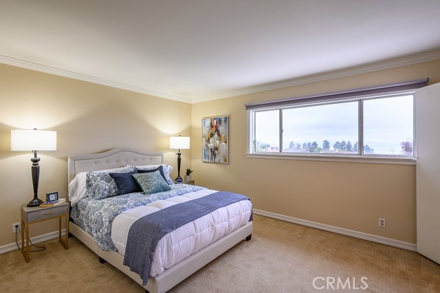 master bedroom with ocean view and walk-in closet