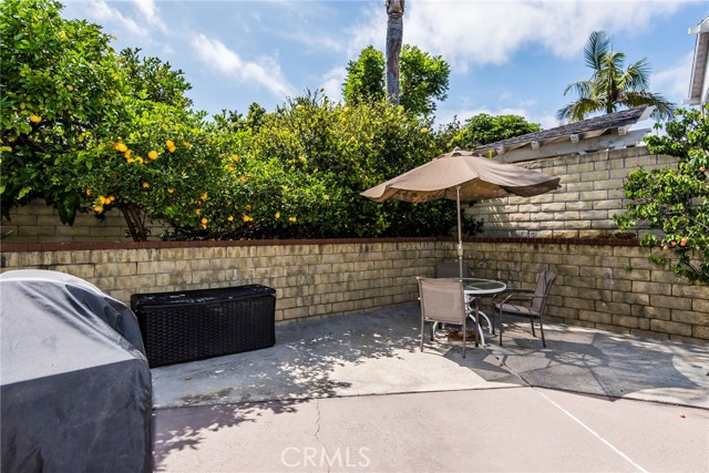 Patio and BBQ area w/Fruit trees Patio and BBQ area w/Fruit trees