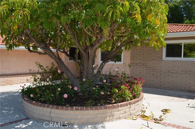 6704 Via Canada, Rancho Palos Verdes, California 90275, 3 Bedrooms Bedrooms, ,3 BathroomsBathrooms,Residential,Sold,Via Canada,SB17075585