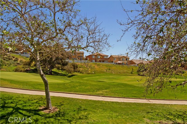 Backyard view from the patio of the 14th Green at Redhawk