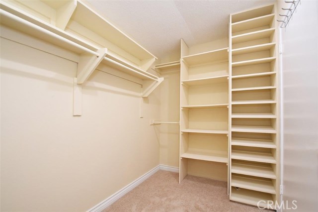 Walk-in Closet in Master Bedroom