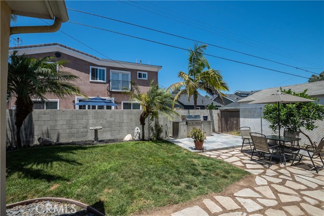 Backyard  with Palm Trees