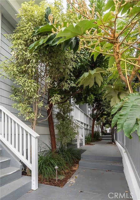 Lush landscaped walkway.