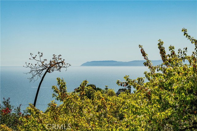 Ocean and Catalina Views