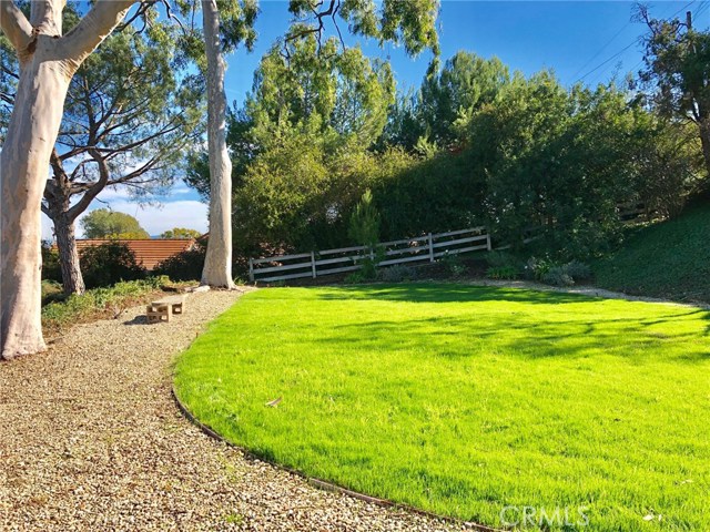 Freshly Seeded large Side Yard Faces the View and Potential Place for a Pool. All Sprinklers Now Repaired and Replaced.