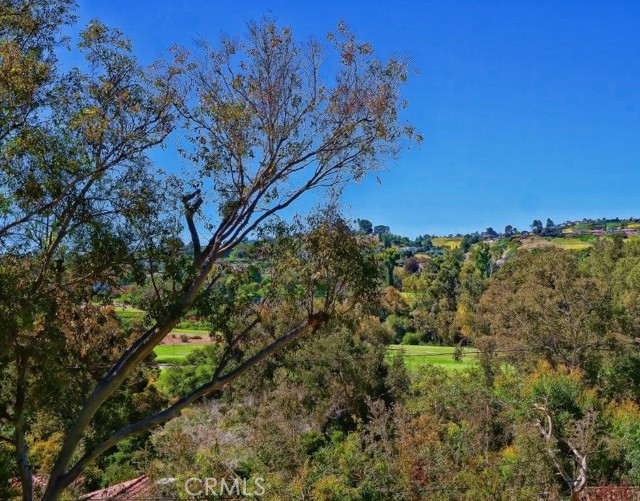 PV Country Club Golf Course View