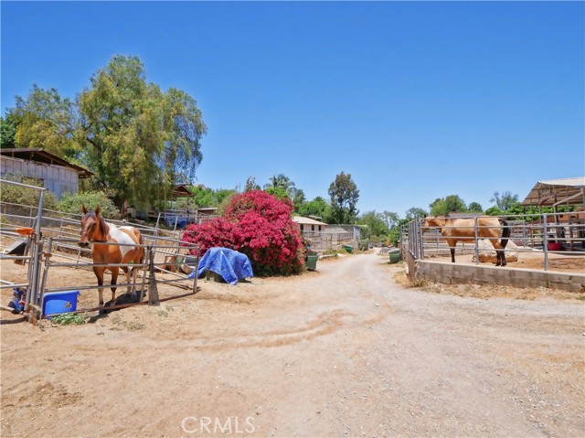 26811 Eastvale Road, Palos Verdes Peninsula, California 90274, 5 Bedrooms Bedrooms, ,2 BathroomsBathrooms,Residential,Sold,Eastvale,SB21137760