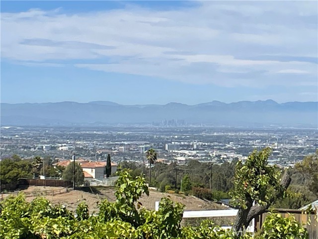 City View from Backyard