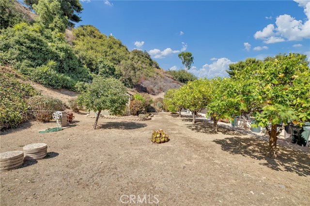 30031 Knoll View Drive, Rancho Palos Verdes, California 90275, 3 Bedrooms Bedrooms, ,2 BathroomsBathrooms,Residential,Sold,Knoll View,SB20165711