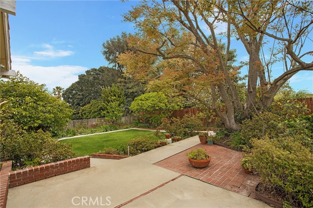 Mature trees brick lined planters and patio