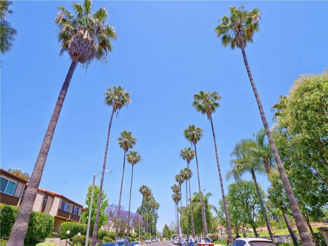 Armaga Spring Road