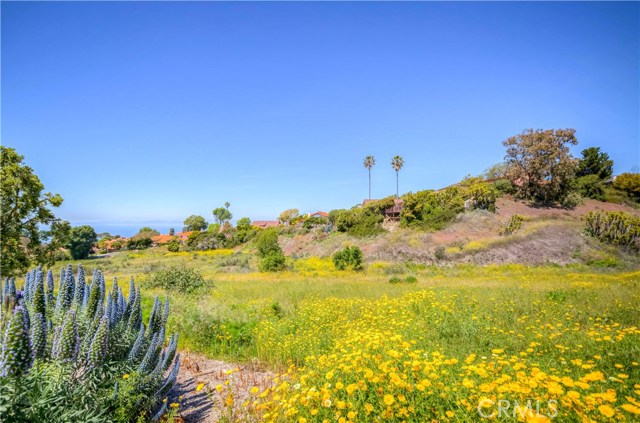 6542 Ocean Crest, Rancho Palos Verdes, California 90275, 2 Bedrooms Bedrooms, ,1 BathroomBathrooms,Residential,Sold,Ocean Crest,PV20079024