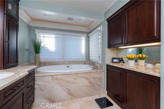 Master bath tub area