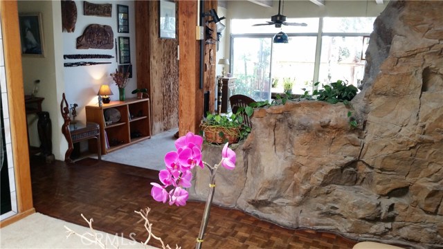 Living Room Open to Tropical Garden