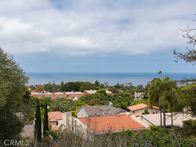 View from Lower Patio