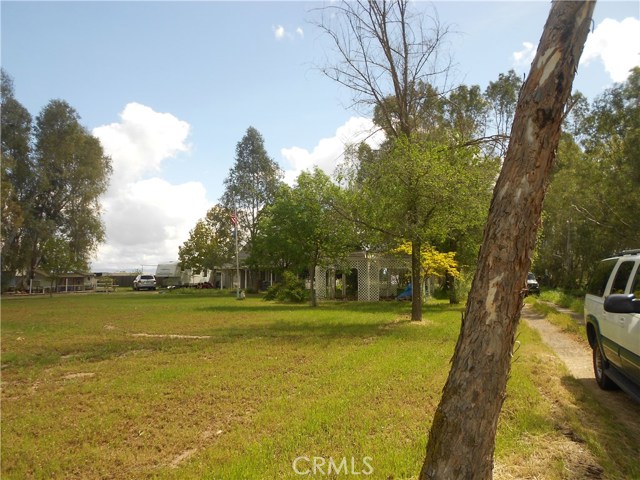 Nice Large front yard.