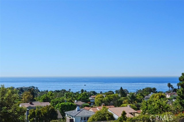 Ocean & Catalina Island View