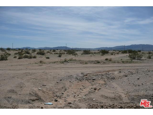 Wilson, 29 Palms, CA, 92277 Wilson