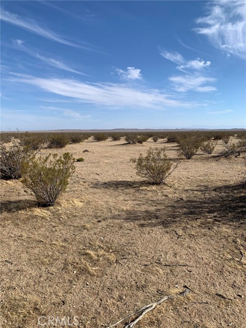  Land for Sale in California City, California