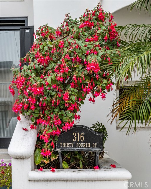 316 34th Street, Manhattan Beach, California 90266, 4 Bedrooms Bedrooms, ,2 BathroomsBathrooms,Residential,Sold,34th,SB21016031