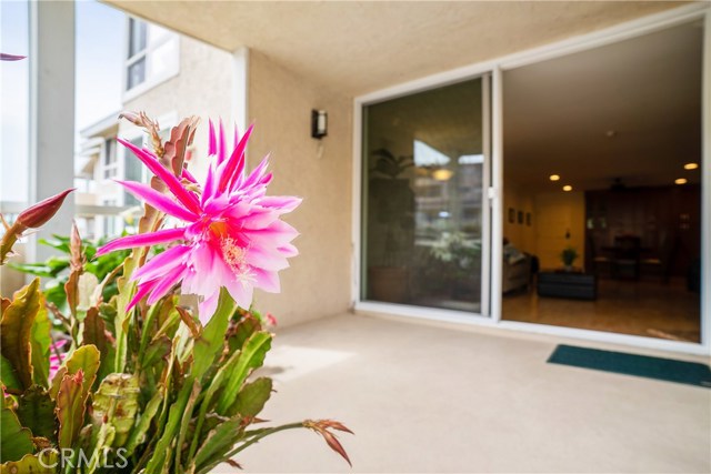 428 Esplanade, Redondo Beach, California 90277, 3 Bedrooms Bedrooms, ,2 BathroomsBathrooms,Residential,Sold,Esplanade,SB18127217